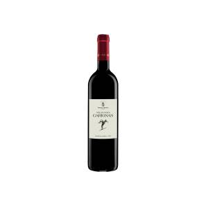 Carignan Vieilles Vignes