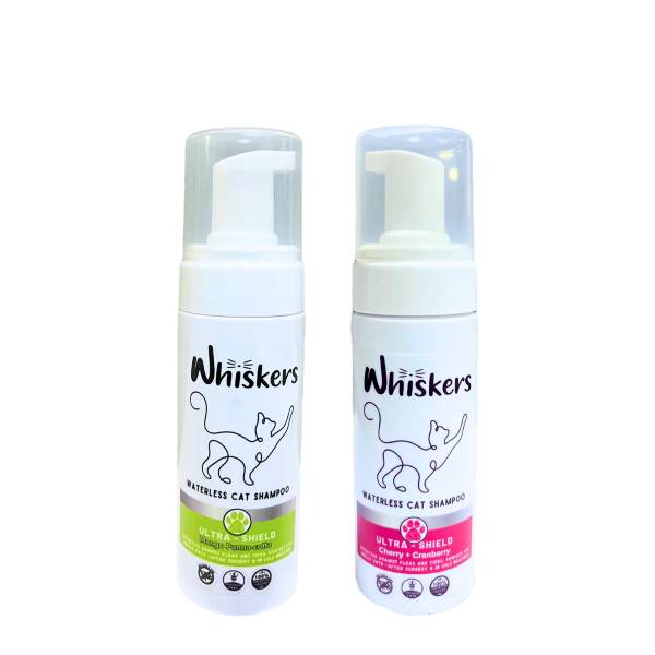 Whiskers - Cat Foam Shampoo