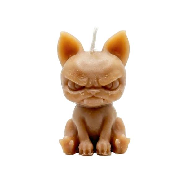 The "Guardian" Candle